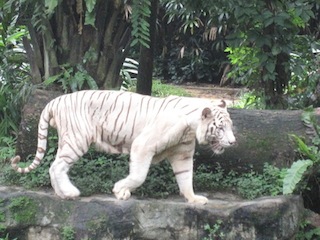 2012_syuugakuryokou3