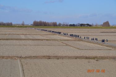 ロードレース大会⑪